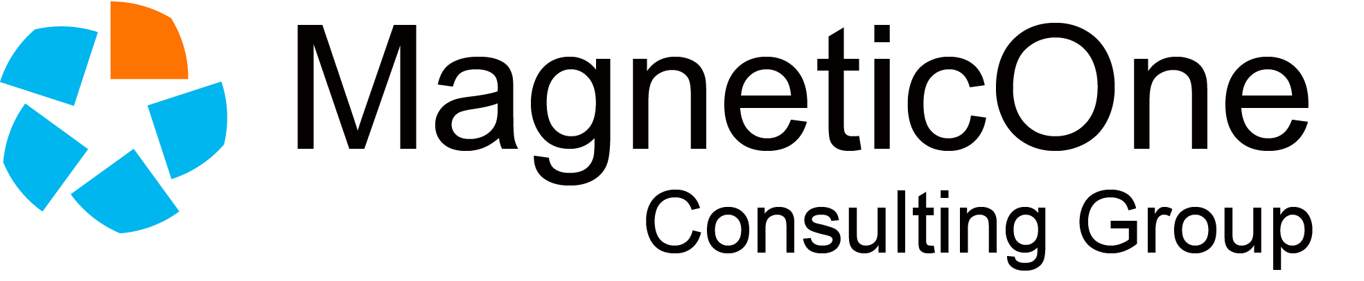 MagneticOne Consulting Group